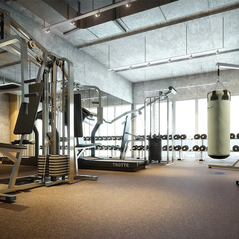 phòng gym stc tân phú